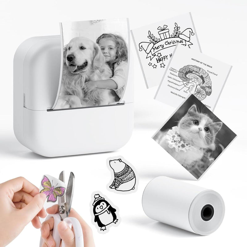Mini Impresora Térmica Portátil Bluetooth & WiFi