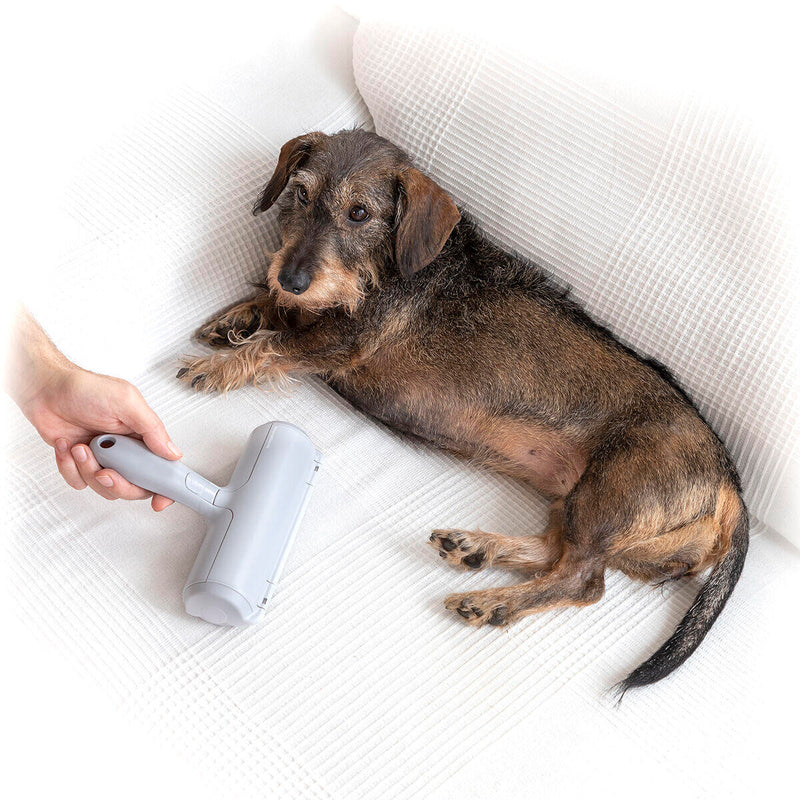 Rolo Tira-Pelos para Animais Rellair InnovaGoods – Prático, Reutilizável e Eco-Friendly
