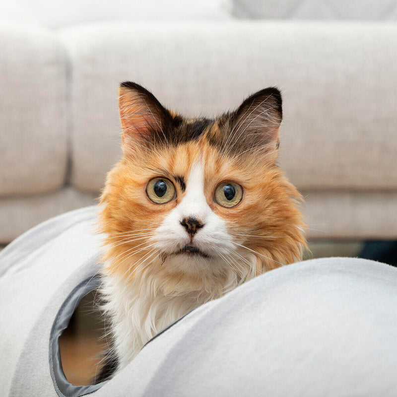 Túnel anti-depressão para Gatos – Diversão, Descanso e Entretenimento