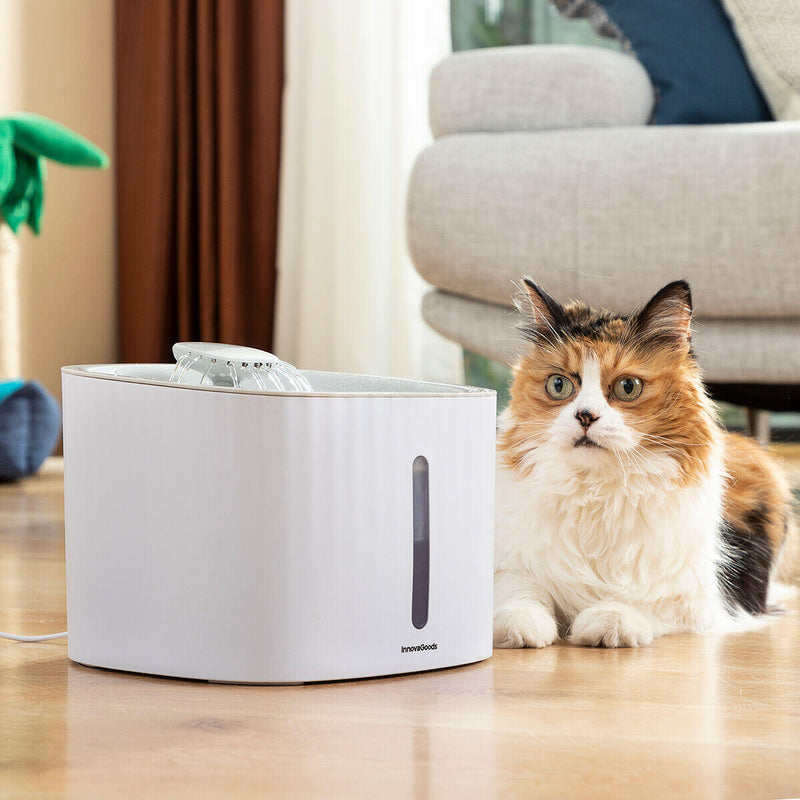 Bebedor para Animais Drinkatt InnovaGoods – Água Sempre Fresca, Limpa e Segura