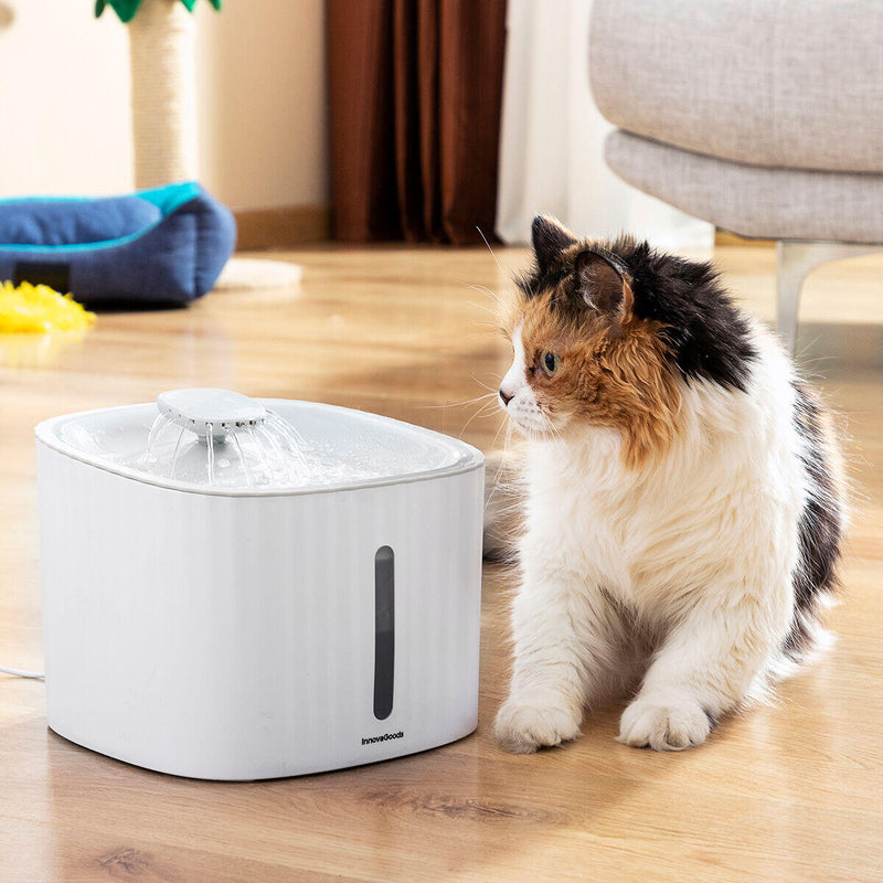 Bebedor para Animais Drinkatt InnovaGoods – Água Sempre Fresca, Limpa e Segura