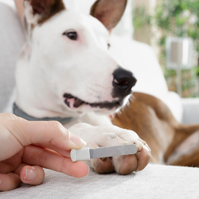 Corta-unhas com LED para Animais – Segurança, Precisão e Conforto