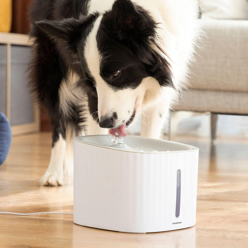 Bebedor para Animais Drinkatt InnovaGoods – Água Sempre Fresca, Limpa e Segura